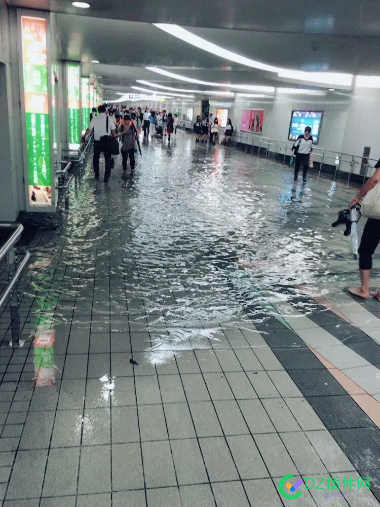 这就是吹上天的日本下水道？一下雨地铁变瀑布 瀑布,日本,下水道,地铁,上天